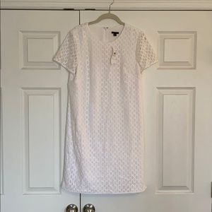 Ann Taylor Short Sleeve Dress